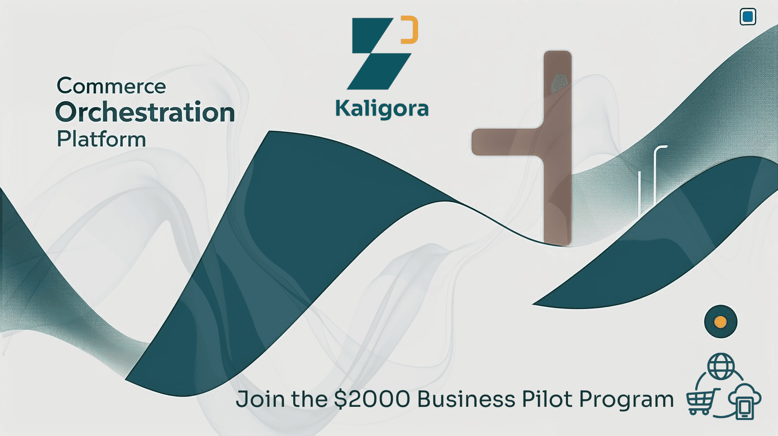 Kaligora Partner Experiment – Call for First 10 Providers